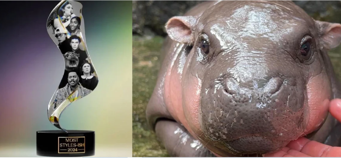 Kuda Nil Moo Deng Masuk Daftar Sosok Paling Bergaya 2024 Versi New York Times